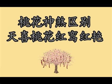 桃花神煞|婚恋四大神煞：桃花、红鸾、红艳、天喜